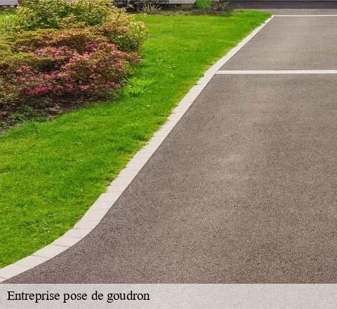 Entreprise pose de goudron 95610