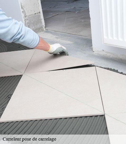 Carreleur pose de carrelage 95270