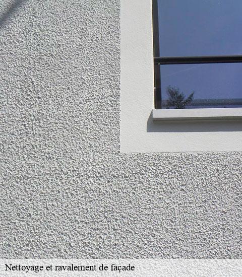 Nettoyage et ravalement de façade 95670